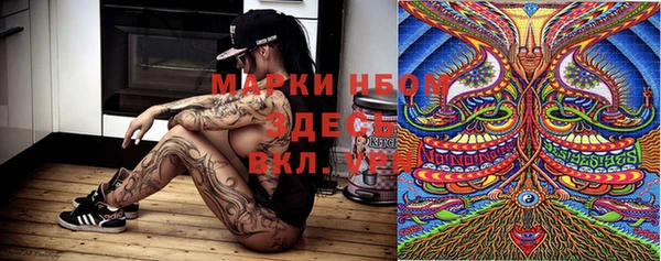 гашик Алзамай