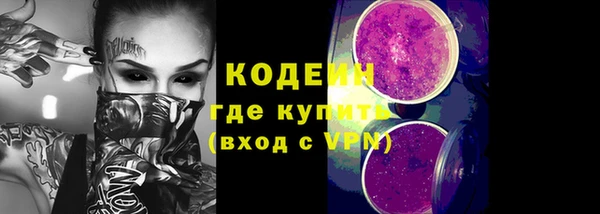 гашик Алзамай